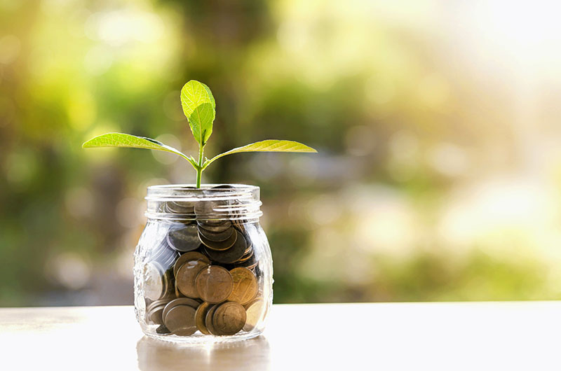 Coins in a jar growing a tree.